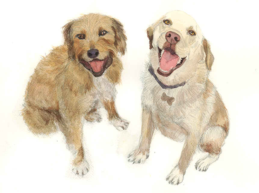 Classic Dog Portraits