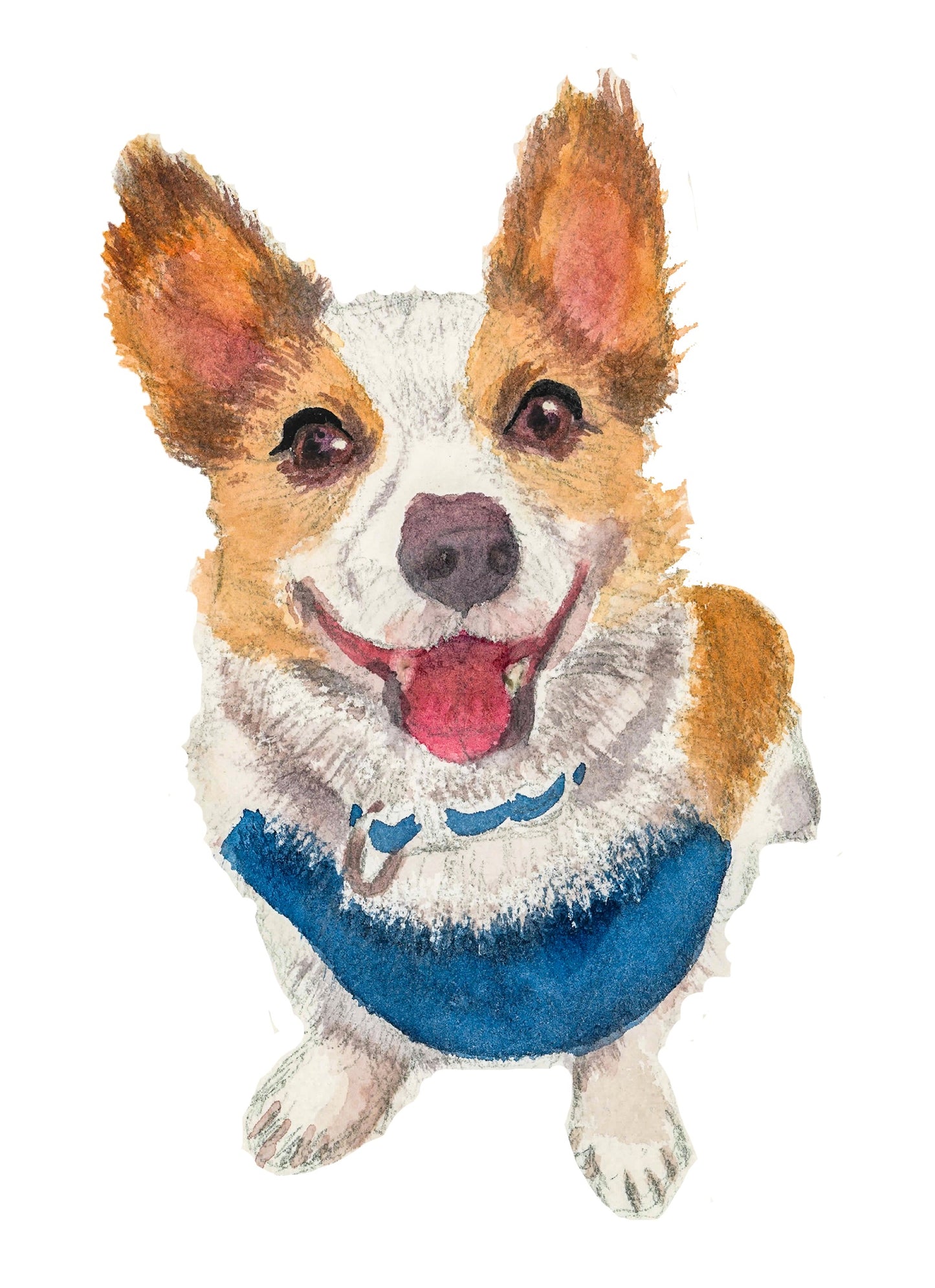 Dog Portraits