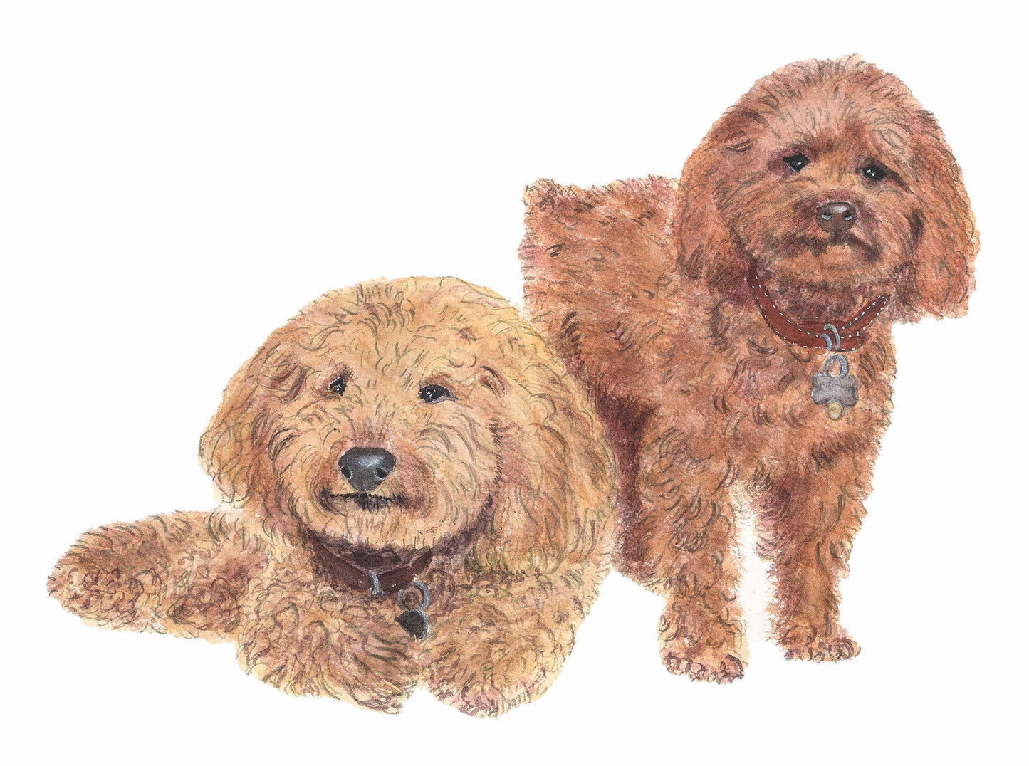 Classic Dog Portrait (2 Dogs)