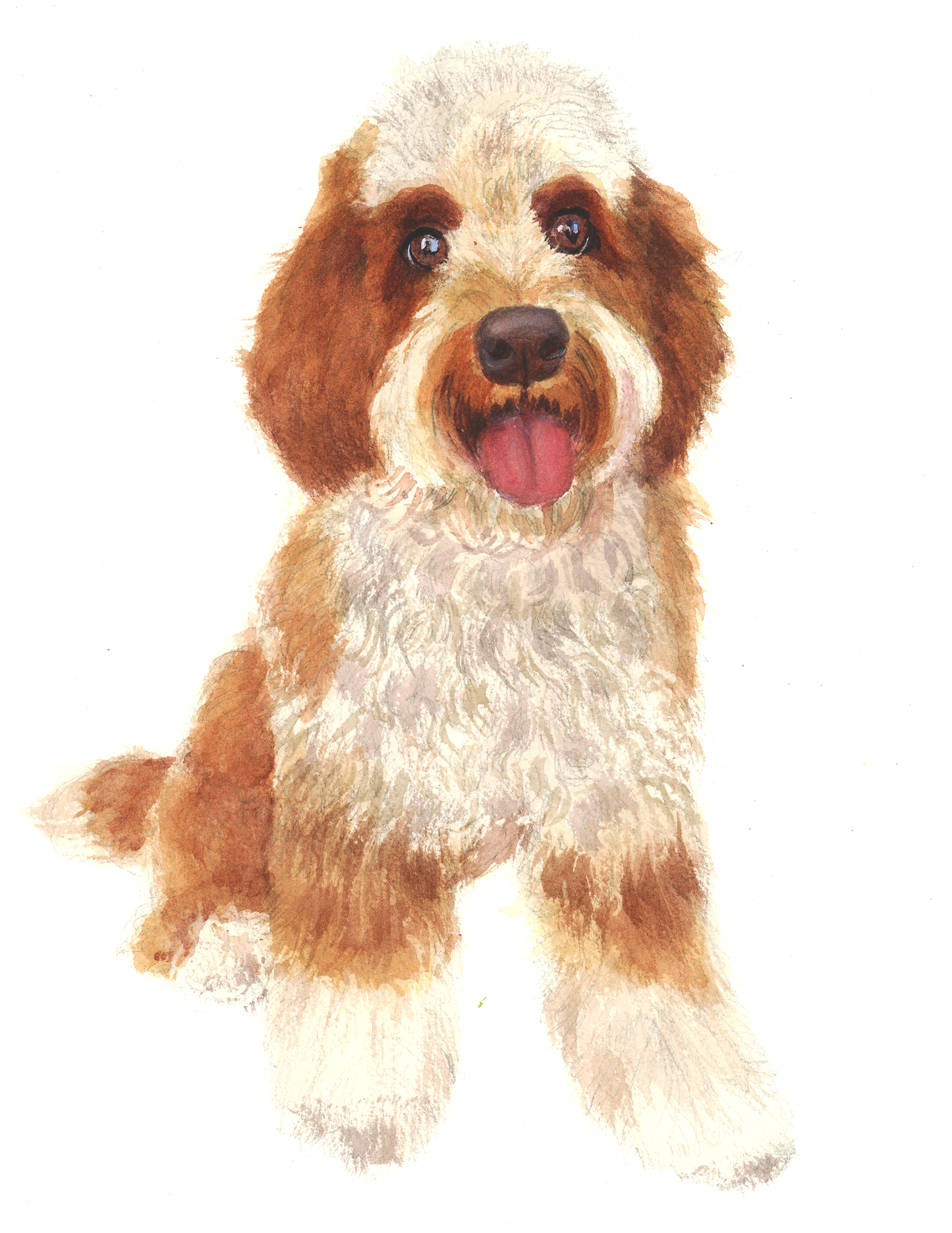 Dog Portraits