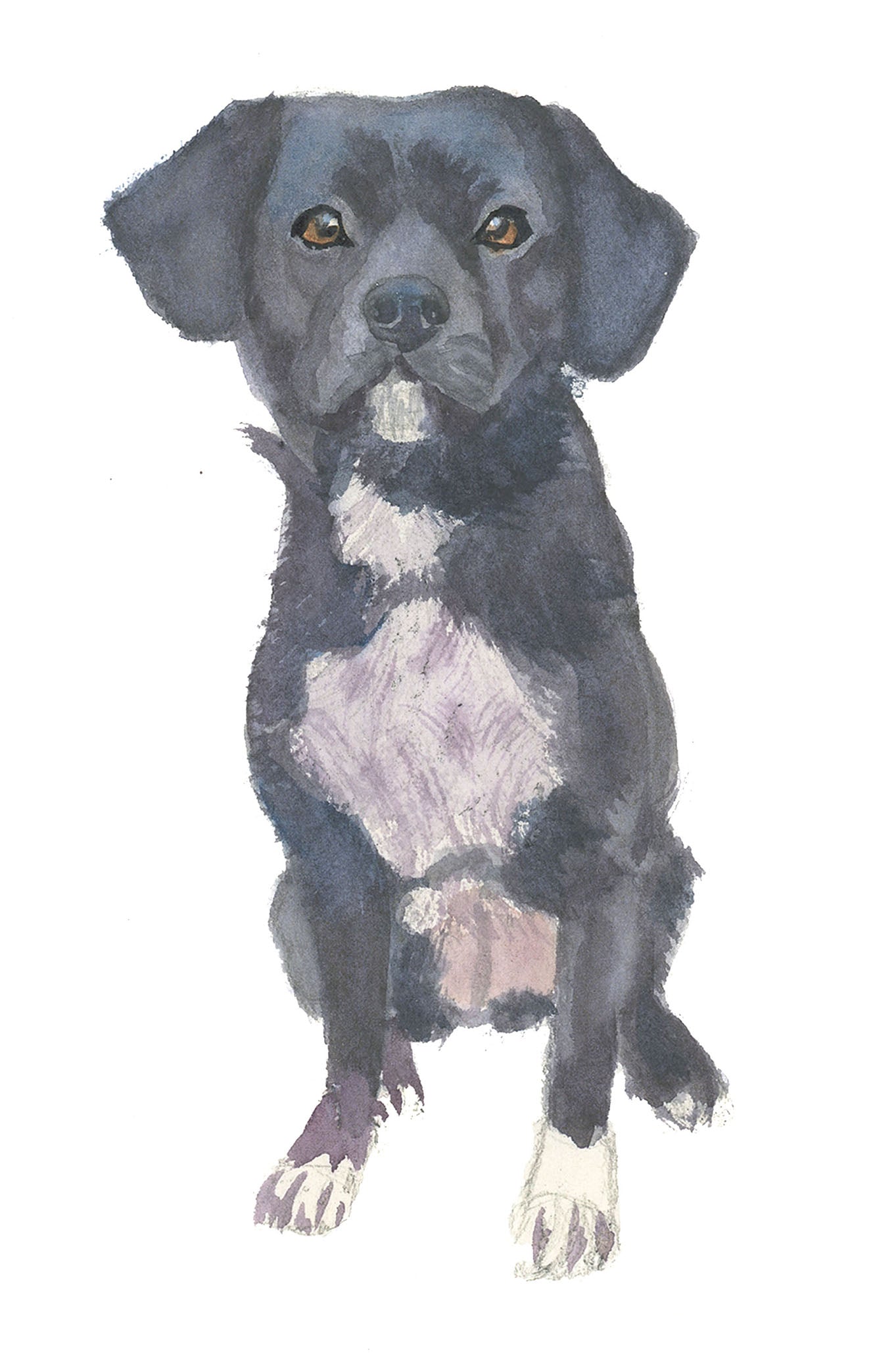 Mini Pup Portrait