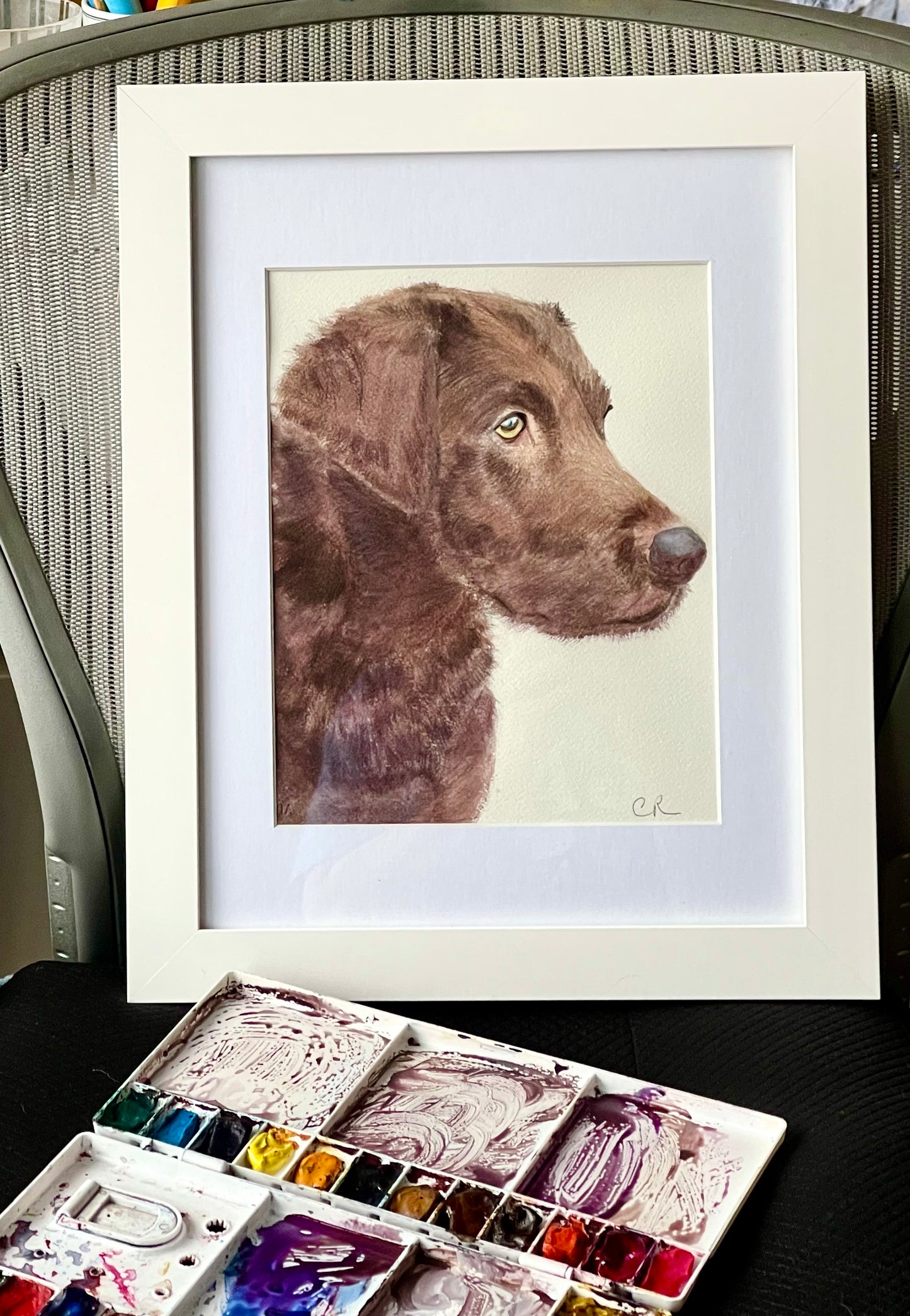 Classic Dog Portrait