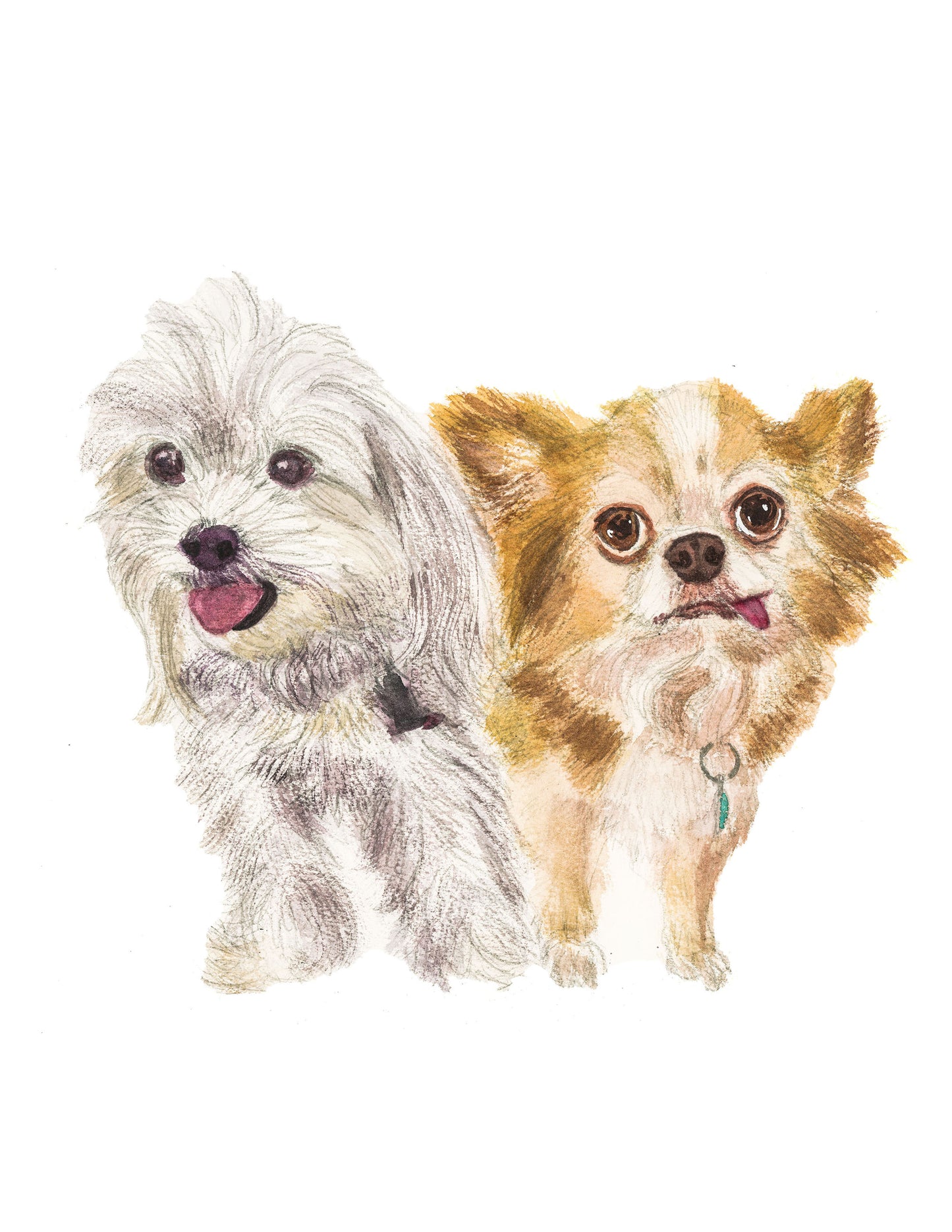 Classic Dog Portrait (2 Dogs)