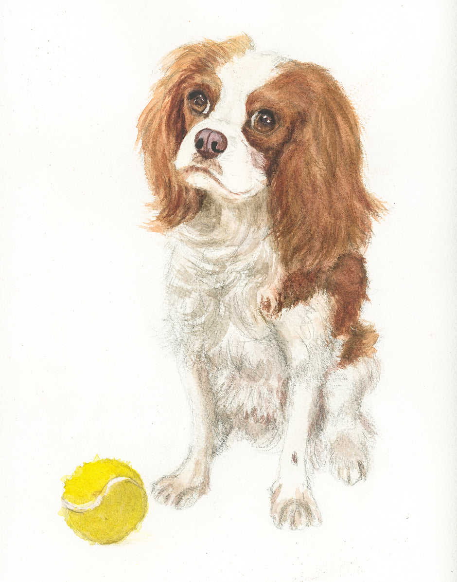 Christina Ruggieri | Custom Watercolor Portraits and Artwork ...