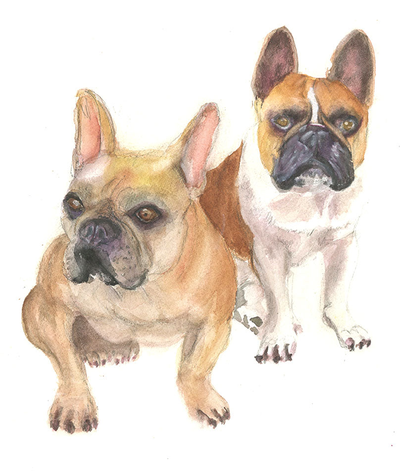 Classic Dog Portrait (2 Dogs)